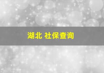 湖北 社保查询